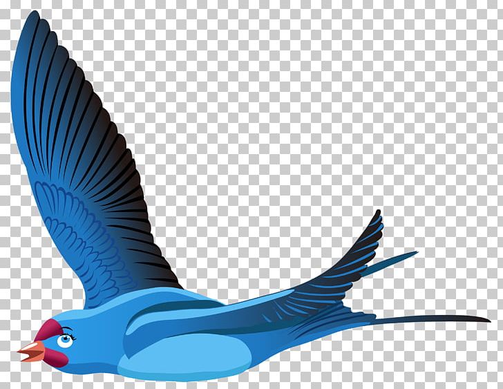 Bird Flight Red-billed Leiothrix Bird Flight Blue PNG, Clipart, Animals, Beak, Bird, Bird Cage, Bird Flight Free PNG Download