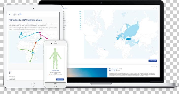 Genealogical DNA Test Genetic Testing Genetics Haplogroup PNG, Clipart, Ancestor, Ancestry, Ancestrycom Inc, Brand, Business Free PNG Download
