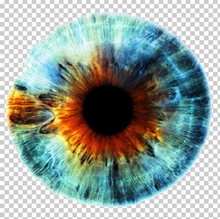 Iris Human Eye Eye Color PNG, Clipart, Biological Pigment, Blue, Circle, Closeup, Color Free PNG Download