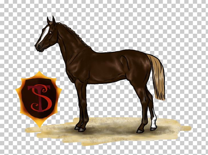 Mane Mustang Stallion Mare Foal PNG, Clipart, Bridle, Colt, Dog Harness, Foal, Halter Free PNG Download