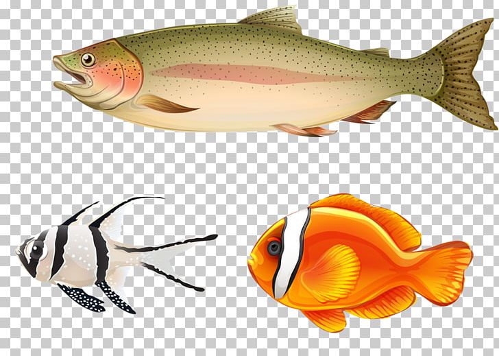 Seafood Photography Others PNG, Clipart, Bony Fish, Coral Reef Fish, Encapsulated Postscript, Fauna, Feeder Fish Free PNG Download