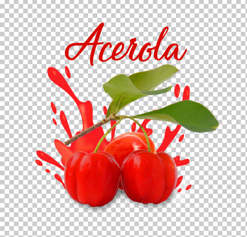 Natural Foods Plant Food Fruit Red PNG, Clipart, Acerola, Acerola Family, Berry, Cherry, Flower Free PNG Download