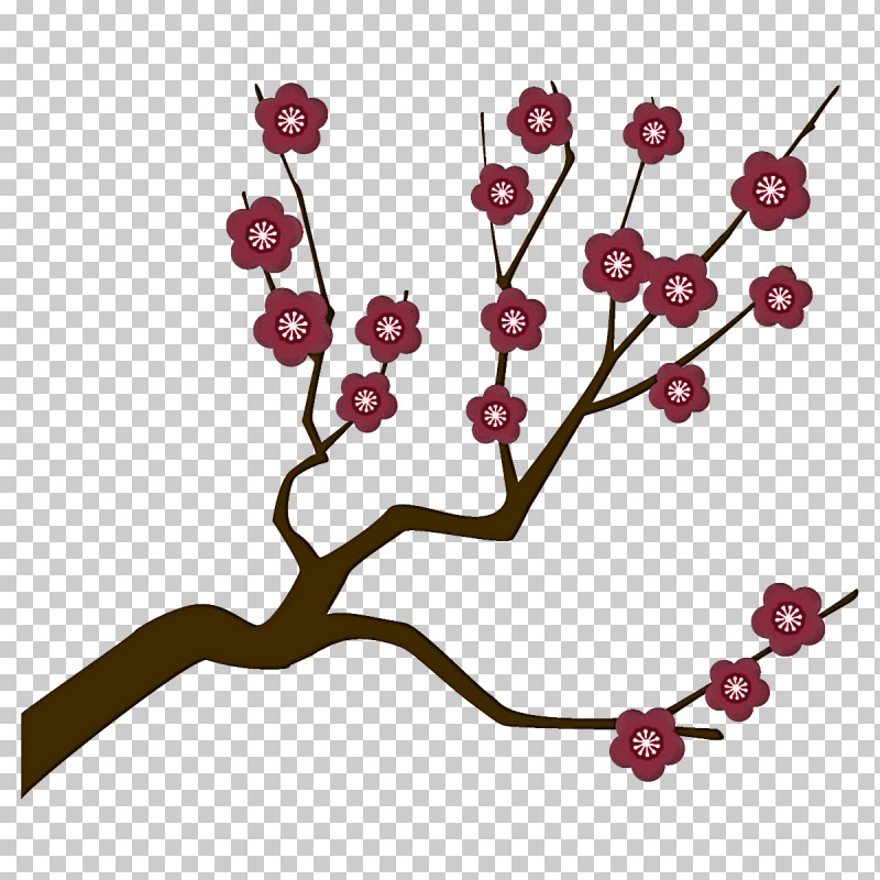 Plum Branch Plum Winter Flower PNG, Clipart, Blossom, Branch, Cherry Blossom, Flower, Magenta Free PNG Download
