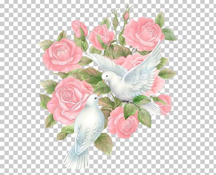 Columbidae Bird Rock Dove Release Dove Rose PNG, Clipart, Animals, Anniversary, Artificial Flower, Bird, Birthday Free PNG Download