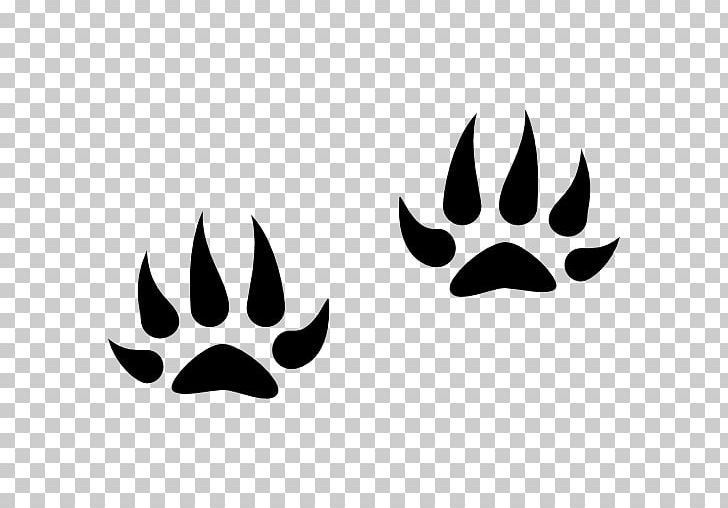 Computer Icons Footprint Animal PNG, Clipart, Animal, Animal Track, Antler, Black, Black And White Free PNG Download