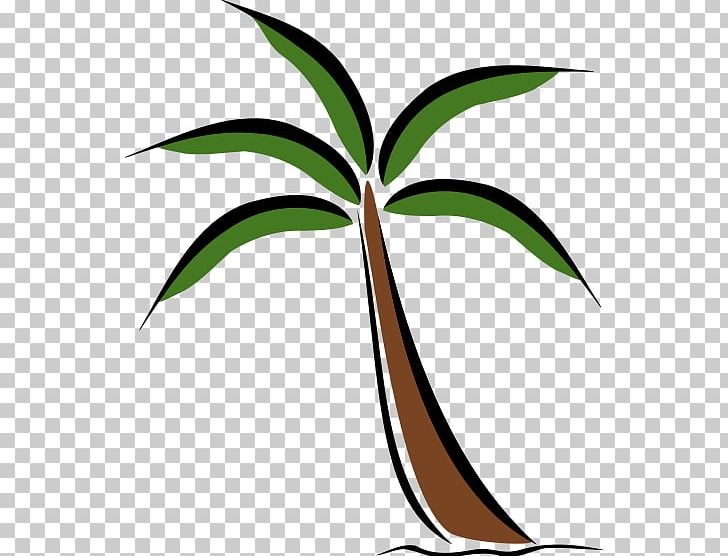 Washingtonia Robusta Arecaceae Tree PNG, Clipart, Arecaceae, Artwork, Coconut, Download, Flora Free PNG Download