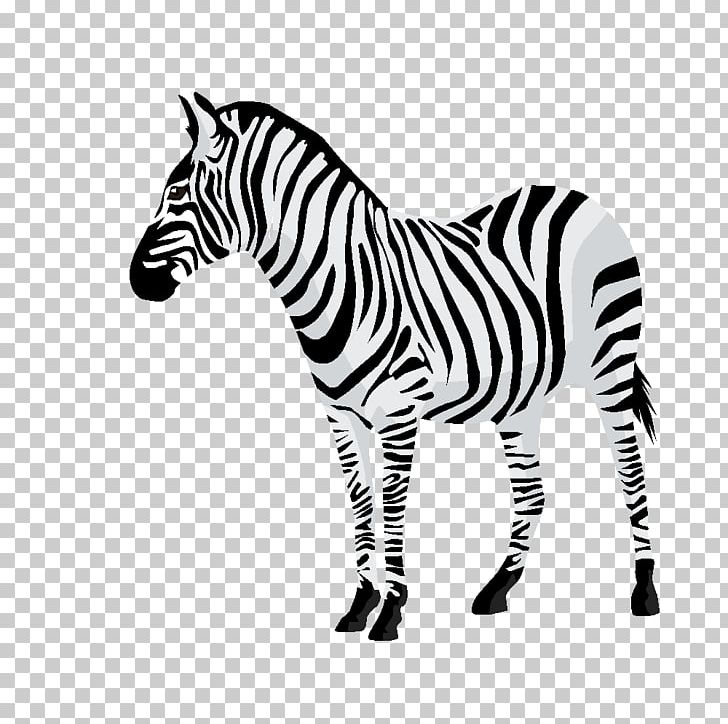Color PNG, Clipart, Animal Figure, Black And White, Color, Decal, Depositphotos Free PNG Download