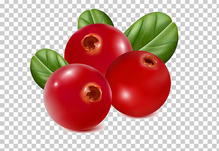 Juice Frutti Di Bosco Fruit Strawberry PNG, Clipart, Blossoms Cherry, Cherries, Cherry Flower, Cherry Tree, Currant Free PNG Download