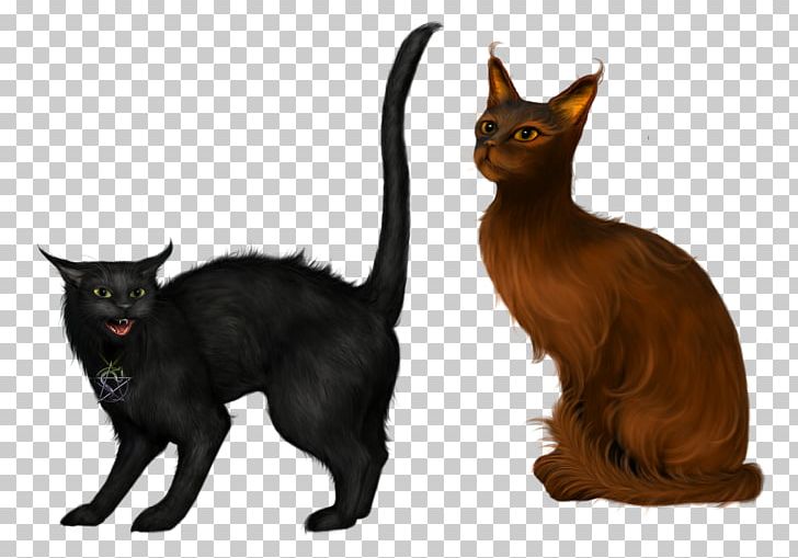 Kurilian Bobtail Kitten Black Cat PNG, Clipart, Animals, Asian, Black Cat, Bombay, Burmese Free PNG Download