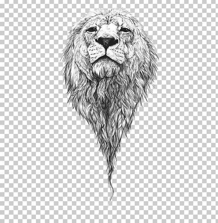 Lion Drawing Art Sketch PNG, Clipart, Animals, Art, Artist, Artists Portfolio, Art Museum Free PNG Download