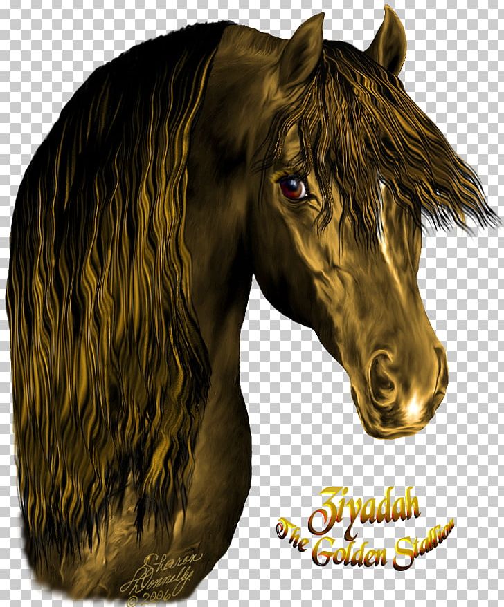 Mustang Stallion Pony Halter Pack Animal PNG, Clipart, Fine Horse, Halter, Head, Horse, Horse Like Mammal Free PNG Download