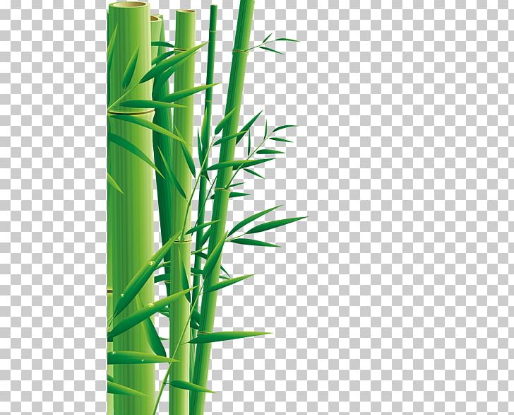 Zongzi Dragon Boat Festival U7aefu5348 Bamboo 5u67085u65e5 PNG, Clipart, 5u67085u65e5, Advertising, Angle, Background Green, Bamboo Free PNG Download