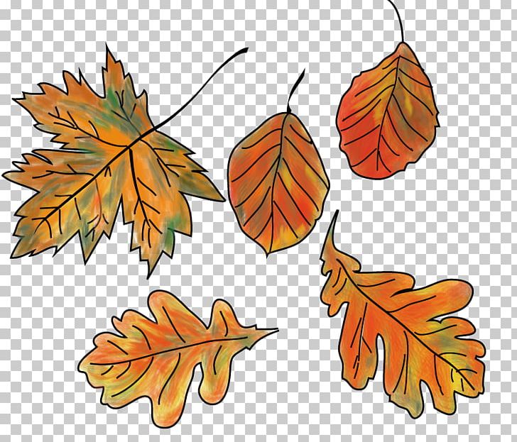 Autumn Leaf Color Bunt Sind Schon Die Wälder PNG, Clipart, Autumn, Autumn Leaf Color, Brothersoftcom, Bunt, Bunte Free PNG Download