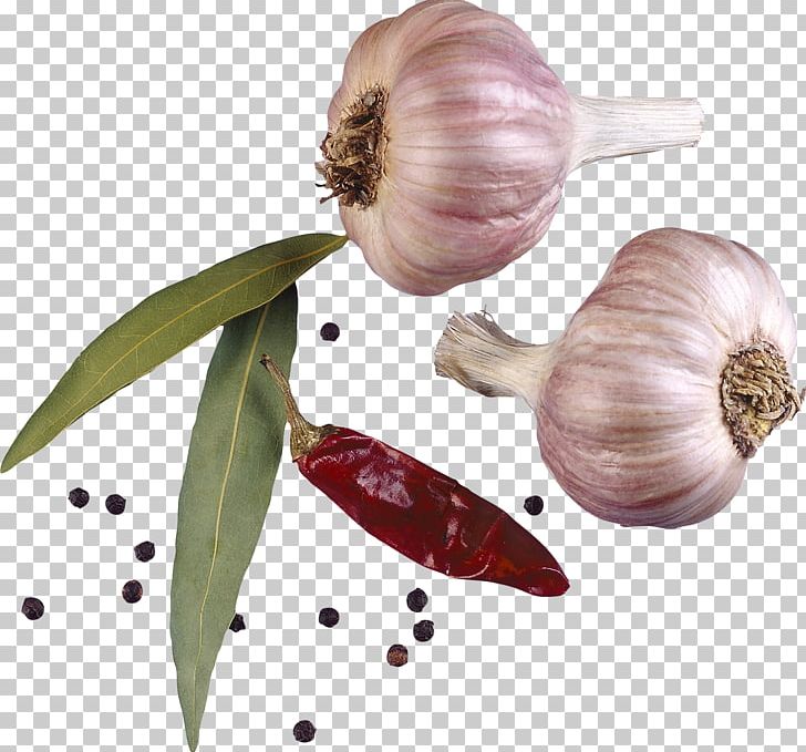 Condiment Spice Garlic Encapsulated PostScript PNG, Clipart, Archive File, Cartoon Garlic, Condiment, Download, Encapsulated Postscript Free PNG Download