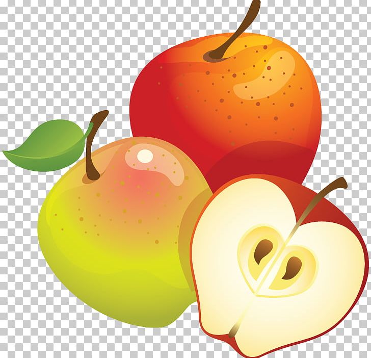 Apple PNG, Clipart, Apple, Apple Clipart, Apples And Oranges, Diagram, Diet Food Free PNG Download
