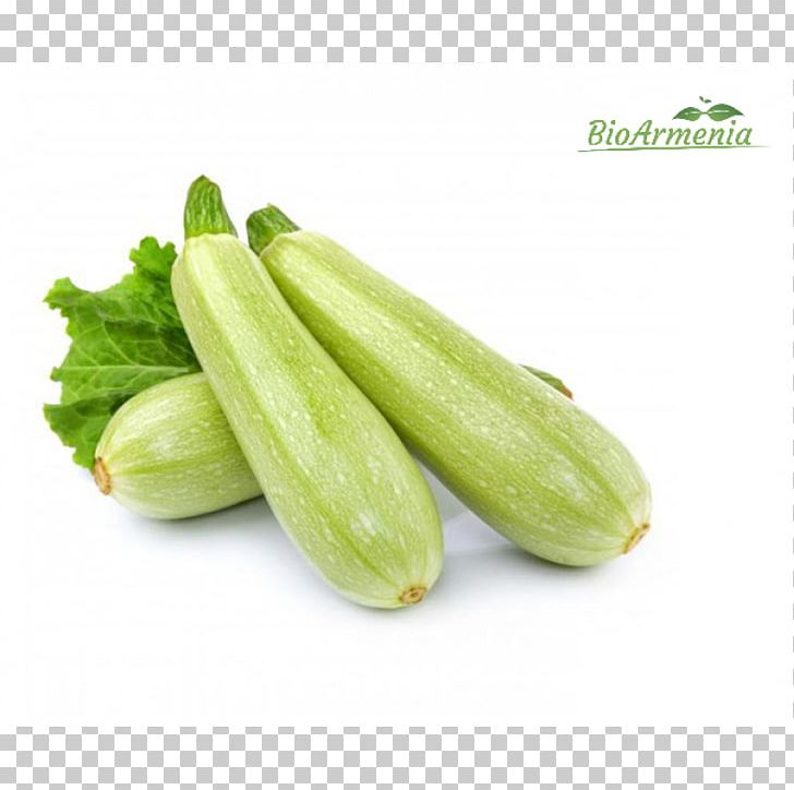 Cucurbita Pepo Summer Squash Zucchini Vegetable PNG, Clipart, Bell Pepper, Cucumber, Cucumber Gourd And Melon Family, Cucumis, Cucurbita Free PNG Download