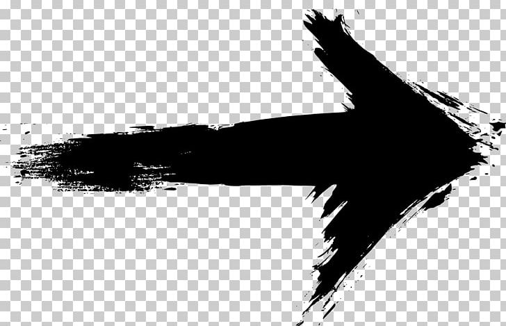 Photography Grunge PNG, Clipart, Arrow, Bird, Black, Black And White, Digital Media Free PNG Download