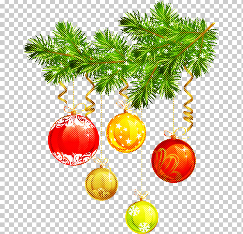 Christmas Tree PNG, Clipart, Arecales, Branch, Christmas, Christmas Decoration, Christmas Ornament Free PNG Download