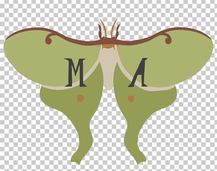 Moth Wing Insect PNG, Clipart, Animals, Arthropod, Butterfly, Fauna, Green Free PNG Download