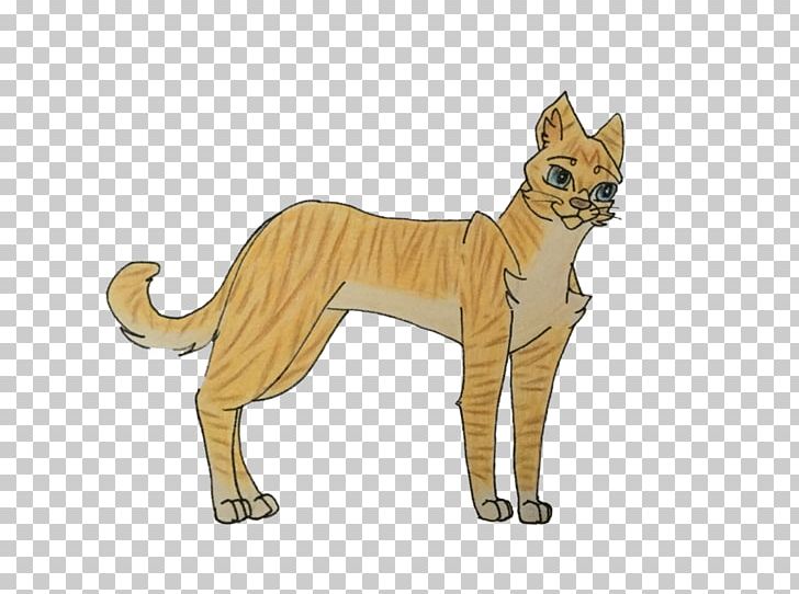 Whiskers Cat Lion Dog Breed PNG, Clipart, Animal, Animal Figure, Animals, Big Cat, Big Cats Free PNG Download