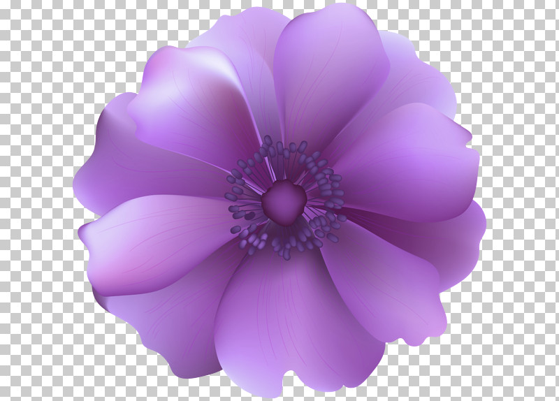 Floral Design PNG, Clipart, Blue, Floral Design, Flower, Flower Bouquet, Purple Free PNG Download