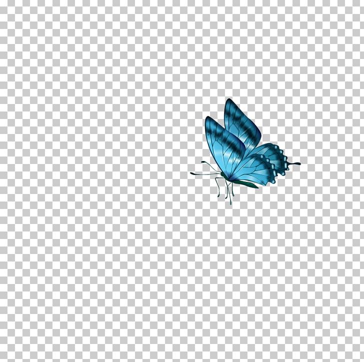 Butterfly PNG, Clipart, Azure, Blue, Blue Butterfly, Butterflies, Butterfly Group Free PNG Download