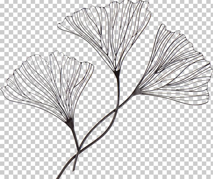 Drawing Wire Ginkgo Biloba Art PNG, Clipart, Artwork, Black And White, Branch, Decorative Arts, Flora Free PNG Download