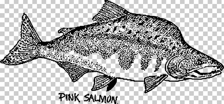 Fish Pink Salmon Chum Salmon Sockeye Salmon PNG, Clipart, Animal, Animal Figure, Animals, Black And White, Chinook Salmon Free PNG Download