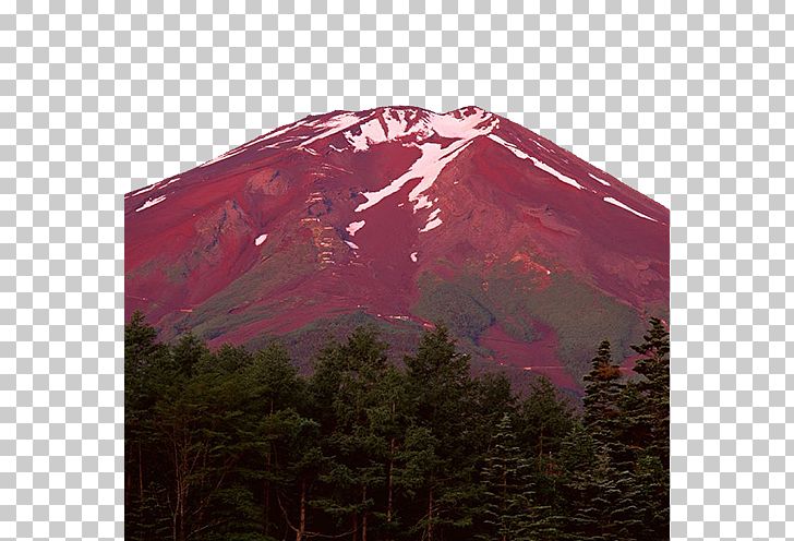 Mount Fuji Aokigahara Tokyo Sakura Mountain PNG, Clipart, Activities, Activity, Computer Wallpaper, Forest, Geological Phenomenon Free PNG Download