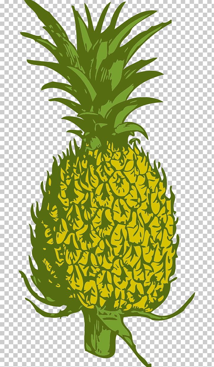 Pineapple Black And White Free Content PNG, Clipart, Ananas, Black And White, Blog, Bromeliaceae, Computer Free PNG Download