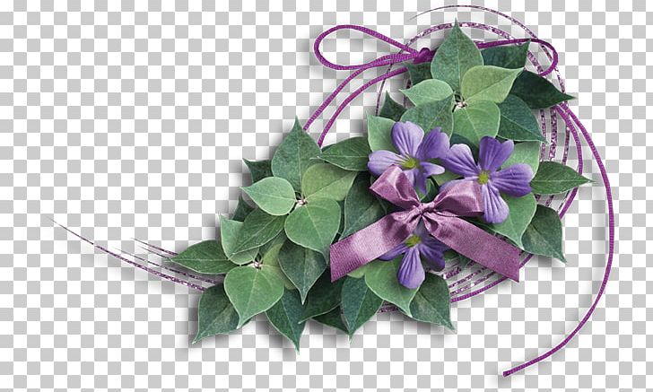 Shoelace Knot Violet Shoelaces Purple PNG, Clipart, Bahar, Bahar Cicekleri, Cicek, Download, Flower Free PNG Download