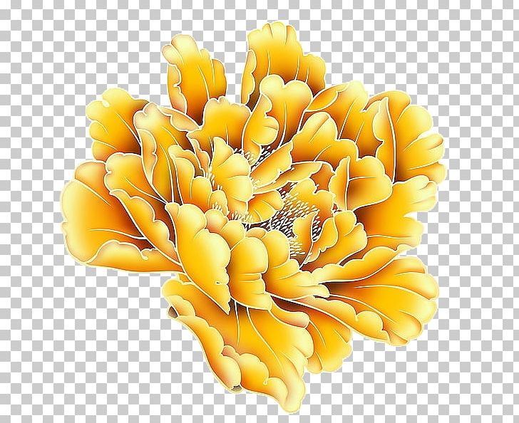Yellow Moutan Peony PNG, Clipart, Cut Flowers, Download, Encapsulated Postscript, Floral Design, Floristry Free PNG Download