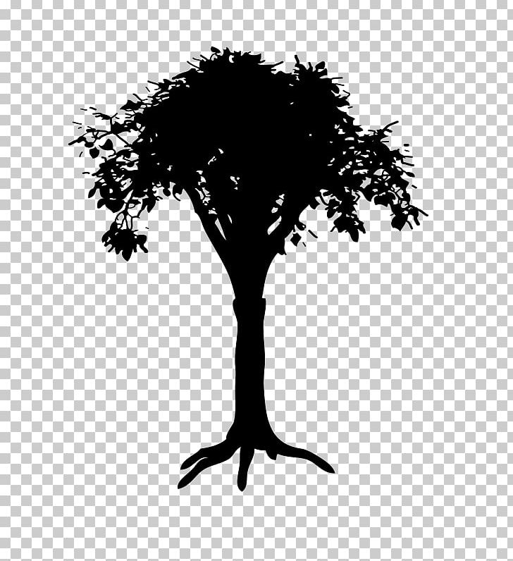 Branch Silhouette Tree Drawing PNG, Clipart, Animals, Art, Black And White, Branch, Computer Wallpaper Free PNG Download