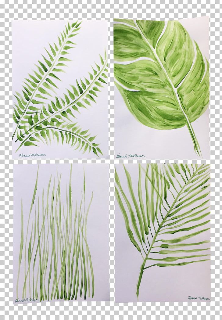Leaf Grasses Plant Stem Family PNG, Clipart, Boho Chic, Family, Grass, Grasses, Grass Family Free PNG Download
