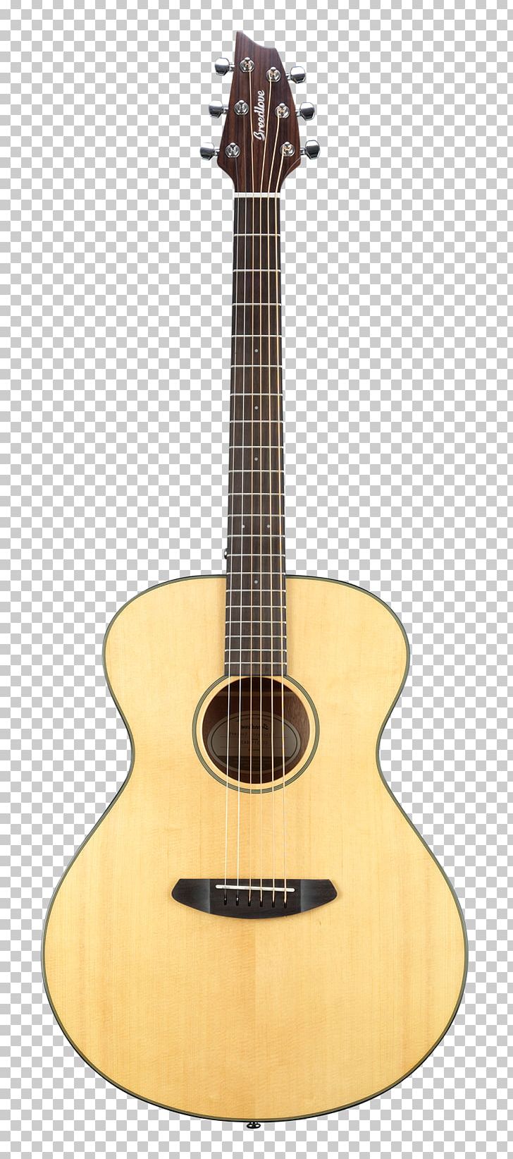 Steel-string Acoustic Guitar Twelve-string Guitar Acoustic-electric Guitar Dreadnought PNG, Clipart, Concert, Cuatro, Cutaway, Guitar Accessory, Musical Instruments Free PNG Download