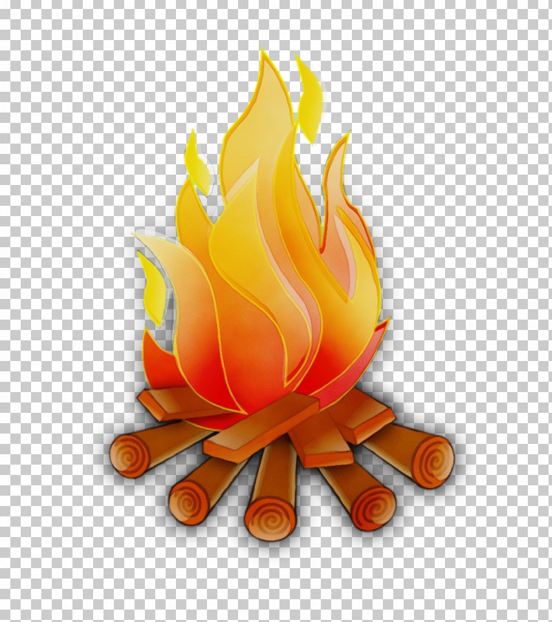 Orange PNG, Clipart, Campfire, Fire, Flame, Flower, Logo Free PNG Download