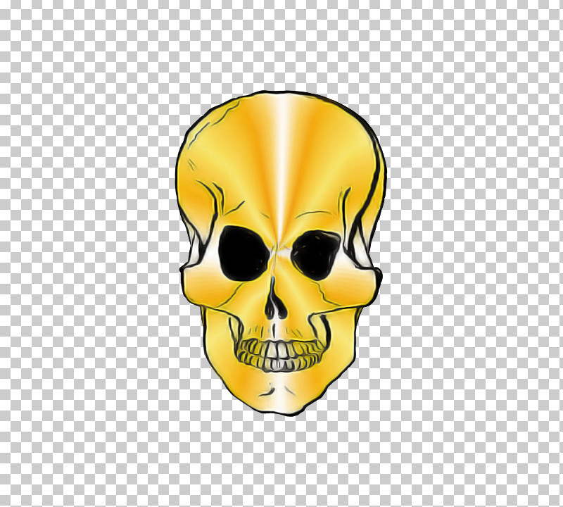 Bone Skull Yellow Head Jaw PNG, Clipart, Bone, Head, Jaw, Skull, Yellow Free PNG Download