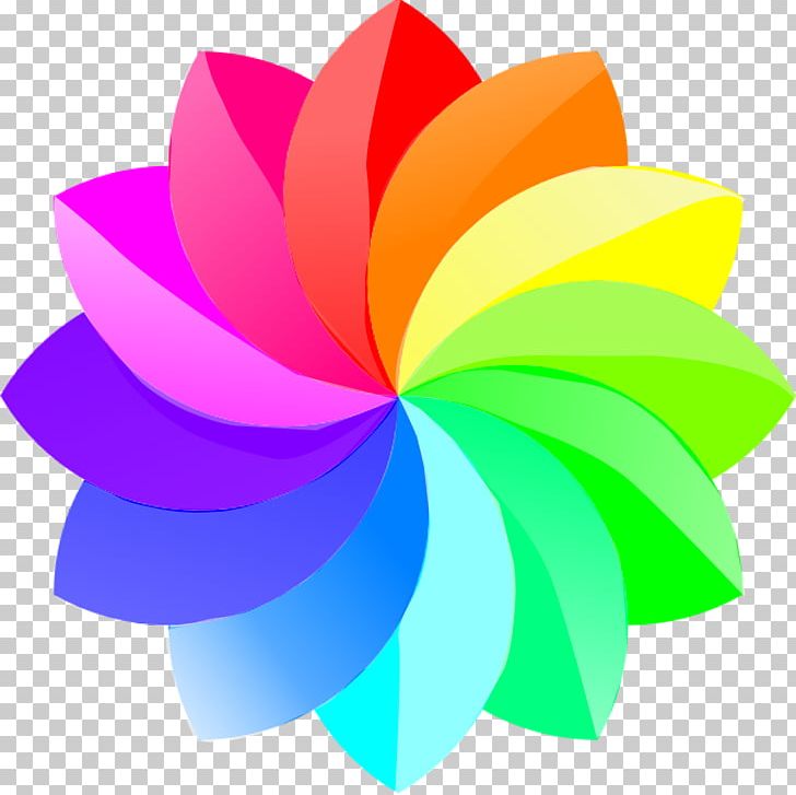 Multicolor Flowers PNG Transparent Images Free Download