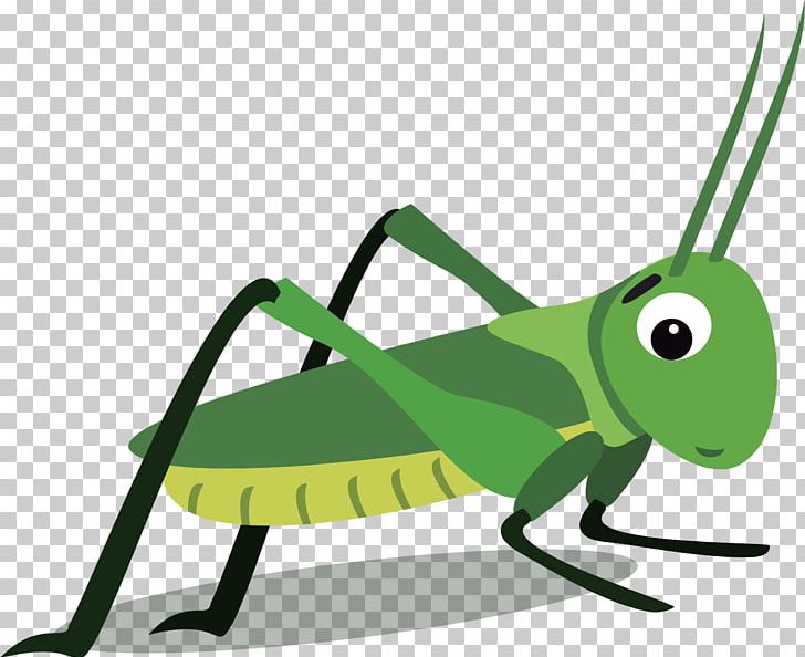 Cockroach Insect Panchlora Nivea PNG, Clipart, Animals, Background Green, Blattodea, Cartoon, Color Free PNG Download