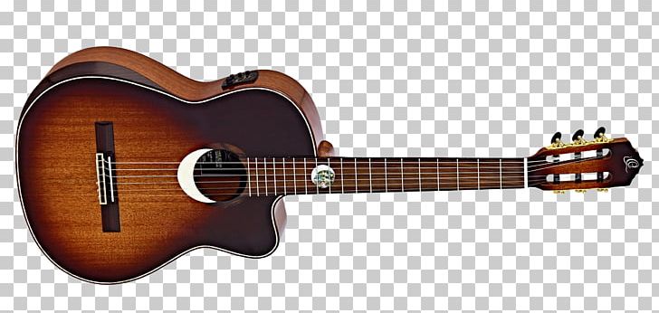 Steel-string Acoustic Guitar Acoustic-electric Guitar Tanglewood Guitars PNG, Clipart, Amancio Ortega, Bridge, Classical Guitar, Cuatro, Cutaway Free PNG Download