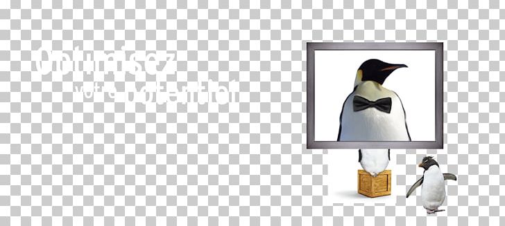 Penguin Beak PNG, Clipart, Animals, Beak, Bird, Flightless Bird, Lamp Free PNG Download