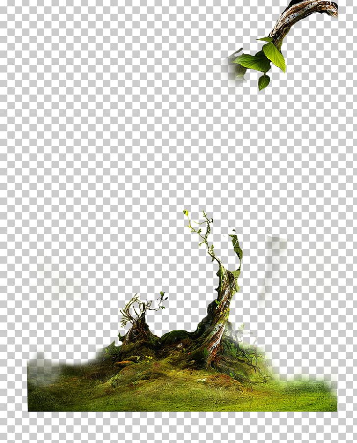 Trees PNG, Clipart, Bonsai, Branch, Branches, Computer, Computer Wallpaper Free PNG Download
