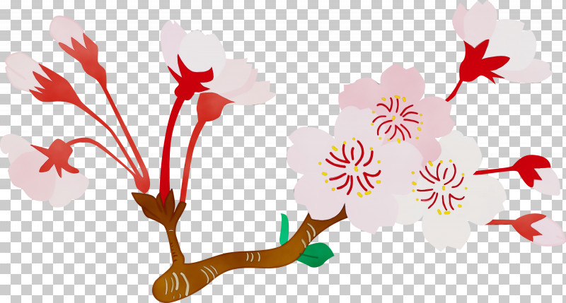 Flower Plant Pedicel Branch Plant Stem PNG, Clipart, Blossom, Branch, Cherry Flower, Floral, Flower Free PNG Download