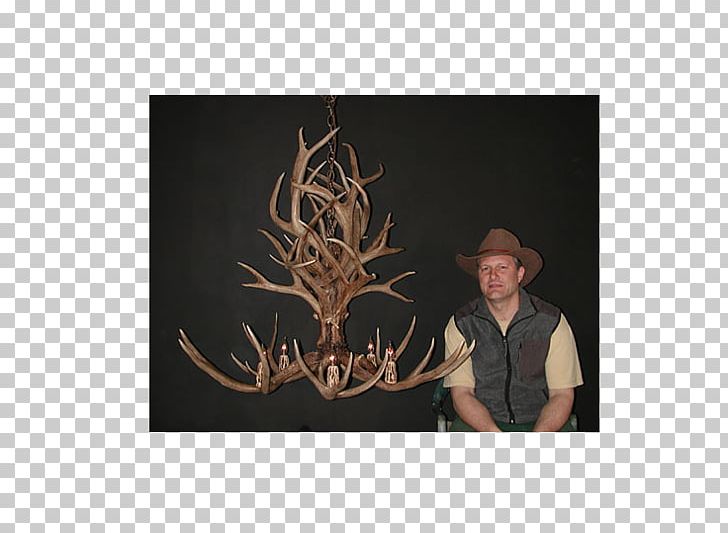 Mule Deer Antlers By Cody Chandelier PNG, Clipart, Animals, Antler, Antlers By Cody, Art, Artist Free PNG Download