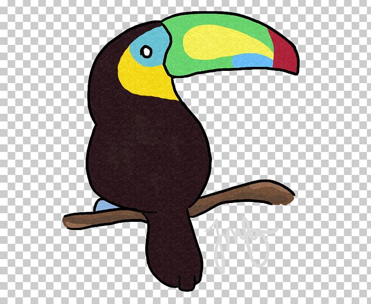 Parrot Bird Toucan Beak Piciformes PNG, Clipart, Animal, Animals, Beak, Bird, Cartoon Free PNG Download