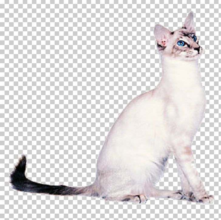 Balinese Cat Oriental Shorthair Siamese Cat Cornish Rex LaPerm PNG, Clipart, Animal, Animals, Background, Black White, Carnivoran Free PNG Download