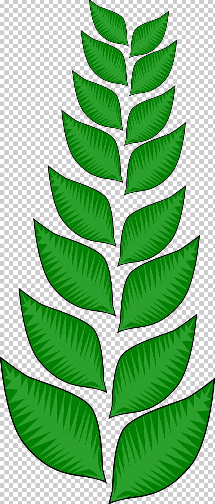 Leaf PNG, Clipart, Computer Icons, Download, Drawing, Green, Leaf Free PNG Download