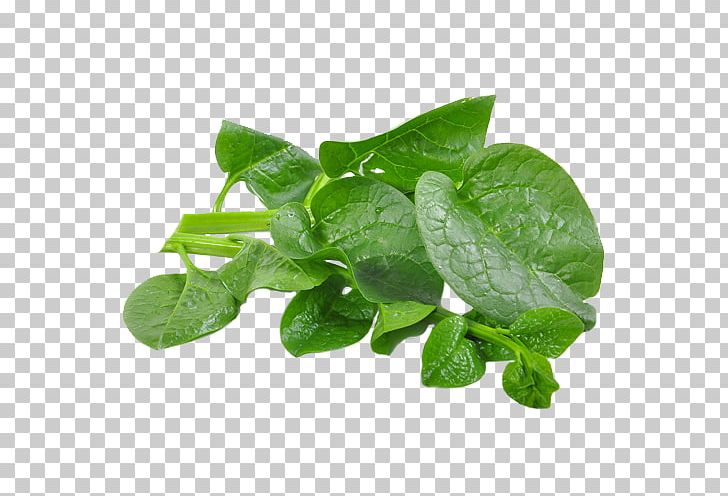 Malabar Spinach Sri Lanka Sesbania Grandiflora Food PNG, Clipart, Chenopodium Giganteum, Eggplant, Food, Food Drinks, Fruit Free PNG Download