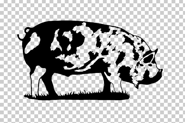 Miniature Pig Kunekune Dairy Cattle PNG, Clipart, Animals, Black And White, Black Iberian Pig, Cattle, Cattle Like Mammal Free PNG Download