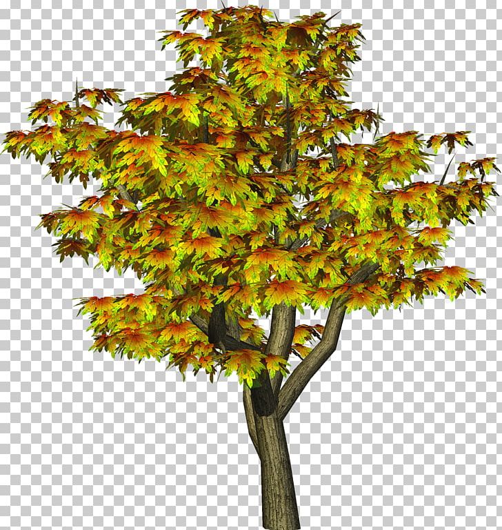 Tree Autumn PNG, Clipart, Autumn, Autumn Leaf Color, Branch, Christmas Tree, Deciduous Free PNG Download